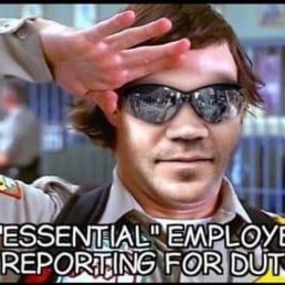 Meet your Posher, Jamie - Picture 1 of 1